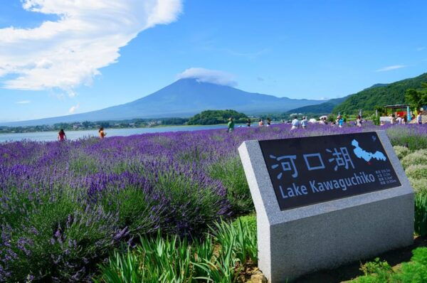 Mt.Fuji:Lake Kawaguchi,Yamanaka & Onsen Day Tour From Tokyo - Customer Ratings