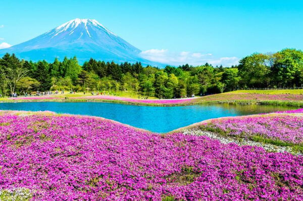 Mt.Fuji:Lake Kawaguchi,Yamanaka & Onsen Day Tour From Tokyo - Frequently Asked Questions