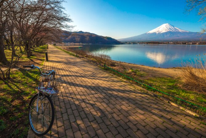 Mt. Fuji's Fifth Station & Lake Kawaguchiko Cycling Tour - Tour Confirmation and Availability