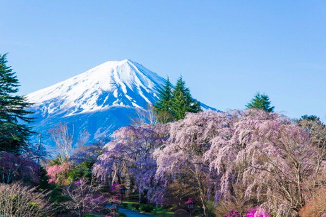 Mt. Fuji's Fifth Station & Lake Kawaguchiko Cycling Tour - Cancellation Policy and Refund Options