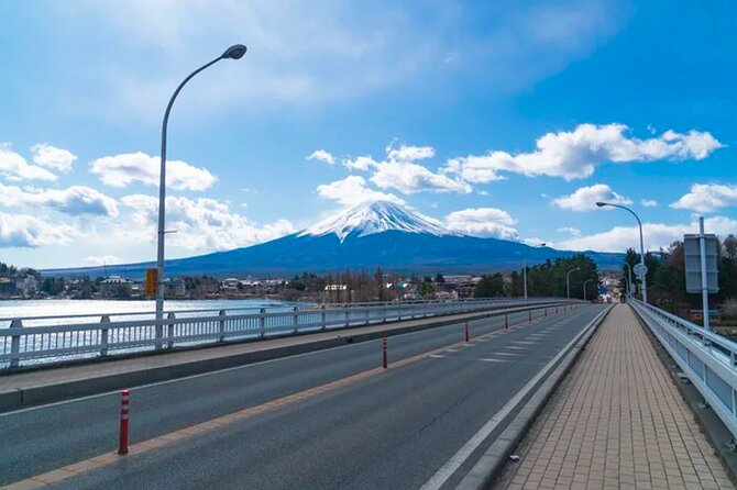 Mt. Fuji's Fifth Station & Lake Kawaguchiko Cycling Tour - Pricing and Copyright Details