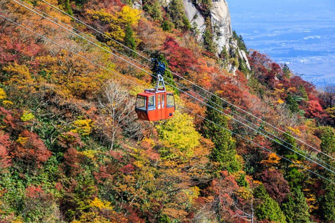 Mt. Gozaisho Ropeway, Nabana No Sato for Illumination and Begonia Garden! - Directions