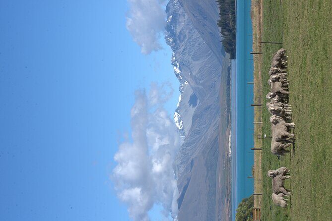 Mt. Hay Farm Experience Genuine Country Farming(Carbon Positive) - The Experience in Context: Why It Matters