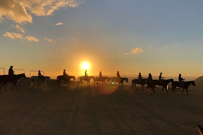 Mt. Hollywood Trail Tour - Additional Information