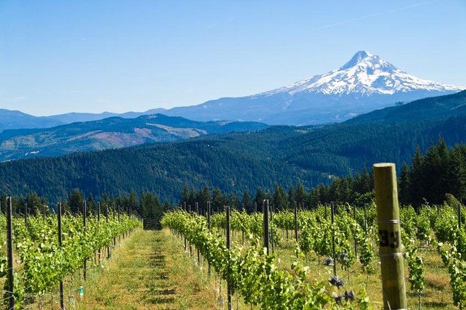 Mt. Hood and Columbia River Gorge Full-Day Tour From Portland - Meeting and Pickup Details