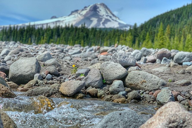 Mt Hood Day Trip From Portland to Multnomah Falls and Hood River - Charming City of Hood River