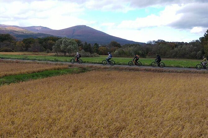 Mt. Iwate Panorama Cycling Tour: Culture and Scenic Views - Why This Tour Delivers Great Value