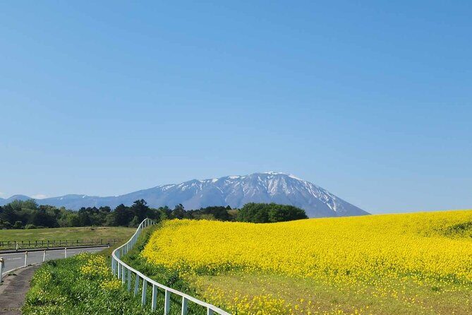 Mt. Iwate Panorama Cycling Tour: Culture and Scenic Views - Who Will Love This Experience?