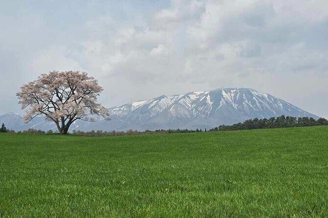 Mt. Iwate Panorama Cycling Tour: Culture and Scenic Views - Good To Know