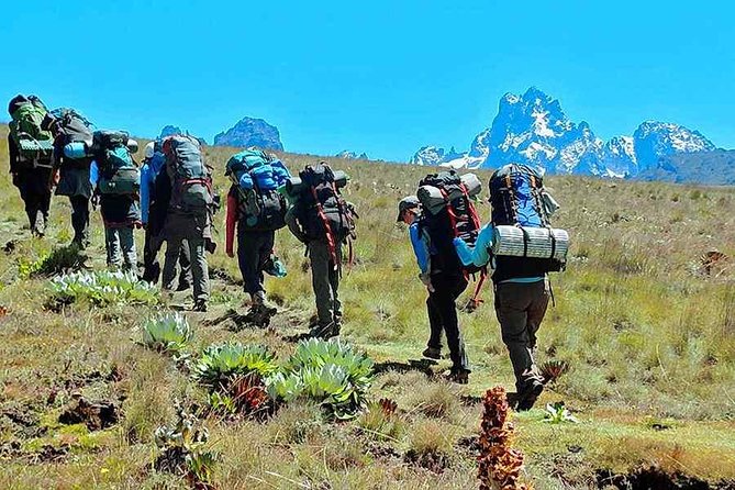 Mt Kenya Day Trip Hike From Nairobi (Cost Based on Minimum 2 Persons) - Booking Information