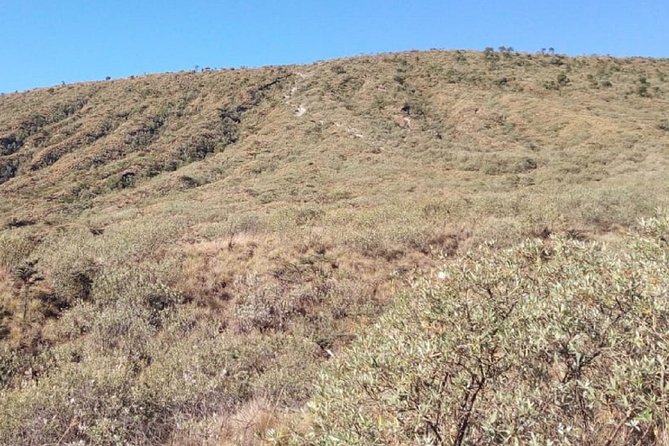 Mt Kilimambogo Oldonyo Sabuk Private Hiking Tour - Review Breakdown