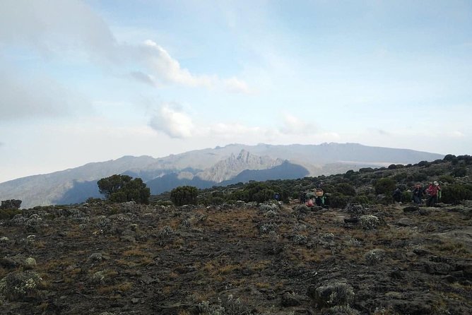 Mt Kilimanjaro 6 Days Marangu Route(From Nairobi) - Itinerary Details