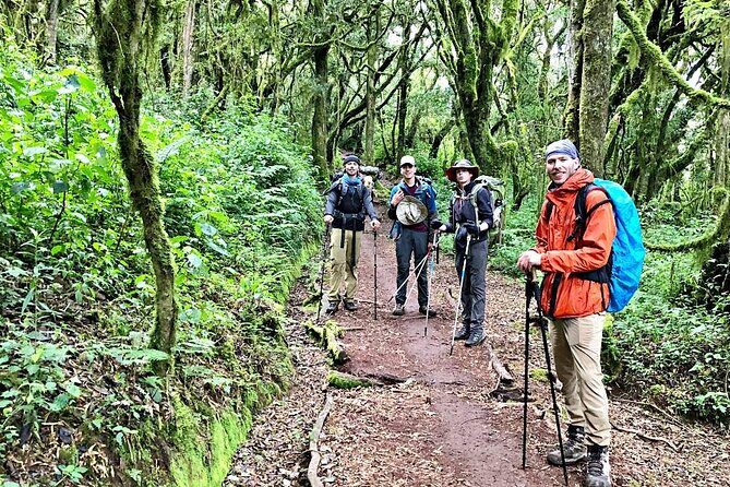 Mt Kilimanjaro Hiking via Marangu Route Day Trip - Good To Know