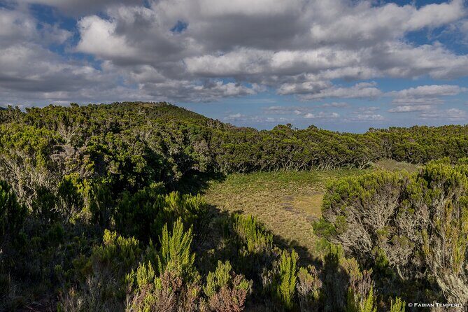 Mt Kilimanjaro Hiking via Marangu Route Day Trip - A Closer Look at the Mt. Kilimanjaro Day Trip via Marangu Route