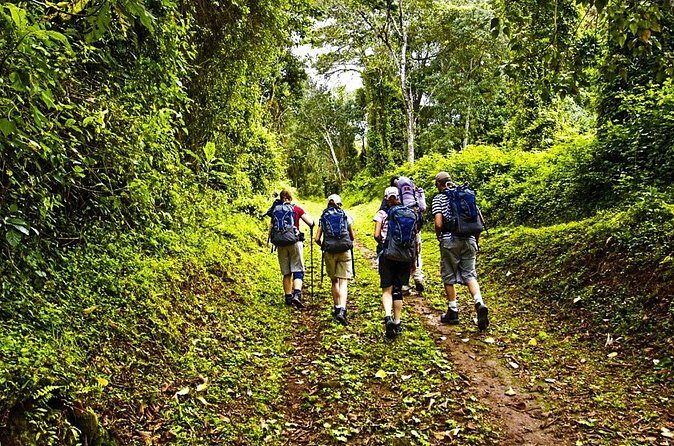 Mt Kilimanjaro Hiking via Marangu Route Day Trip - Final Thoughts