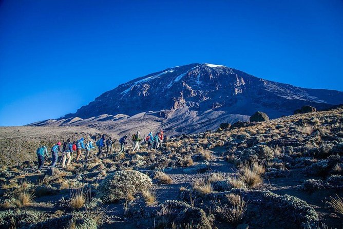 Mt Kilimanjaro Trek; Rongai Route - 6 Days - Day-by-Day Itinerary Details