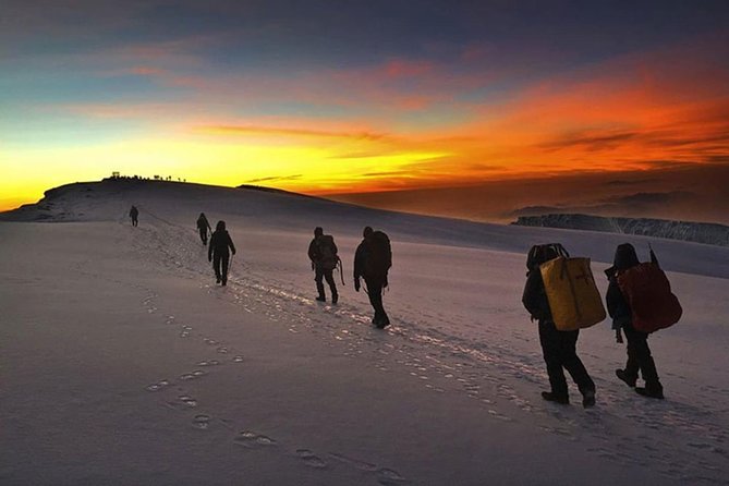 Mt Kilimanjaro Trekking (The Northern Circuit Route) - What to Expect on the Trail