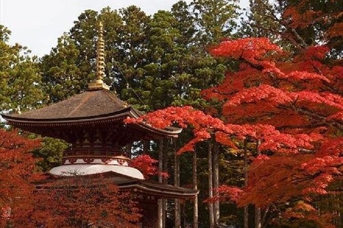 Mt Koya 1 Day Walking Tour From Osaka - Questions and Contact Information