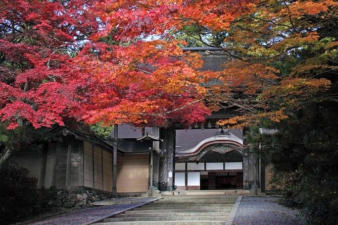 Mt Koya and Kumanokodo Walking 3 Day Tour From Osaka - Itinerary