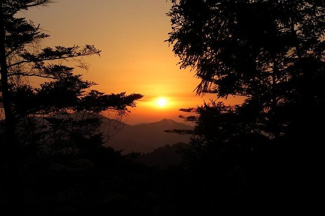 Mt Koya and Kumanokodo Walking 3 Day Tour From Osaka - Common Questions