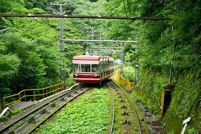Mt. Koya Sacred 6hr Private Tour With Government Licensed Guide - Frequently Asked Questions