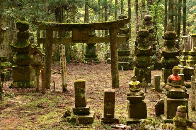 Mt. Koya Sacred Half-Day Private Tour With Government Licensed Guide - Tour Highlights
