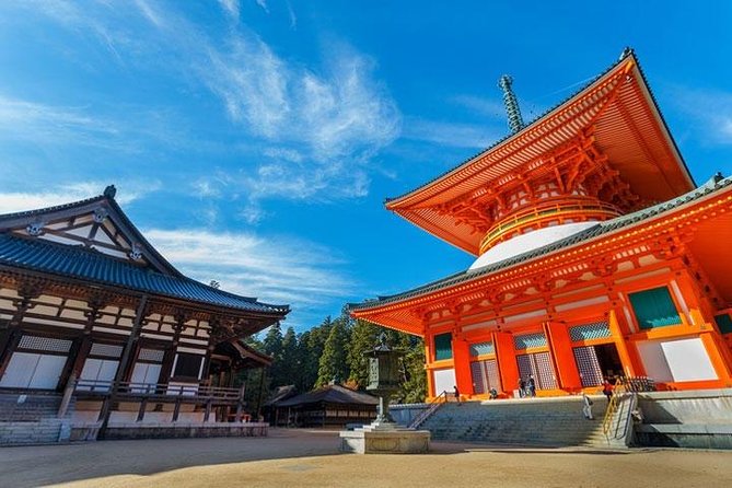 Mt. Koya Sacred Half-Day Private Tour With Government Licensed Guide - What to Expect