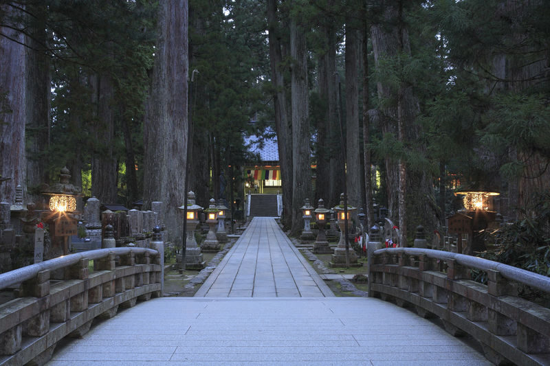 Mt Koya Walking Tour from Osaka - From Osaka to Koyasan: a full day on the move