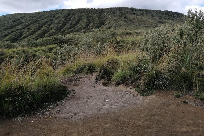 Mt Longonot Hiking Tour With Optional Boat Ride at Lake Naivasha - Booking Process