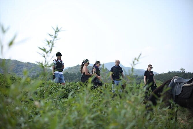 Mt Mogan Horse Riding - Half-day Outdoor Trail Riding near Hangzhou - The Experience in Detail