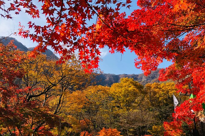 Mt. Naejang Autumn Foliage and Jeonju Hanok Village 1 Day Tour - Tour Highlights