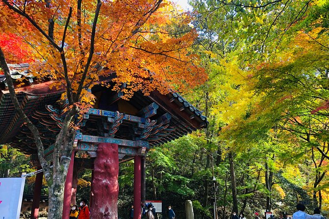 Mt. Naejang Autumn Foliage and Jeonju Hanok Village 1 Day Tour - Itinerary Overview