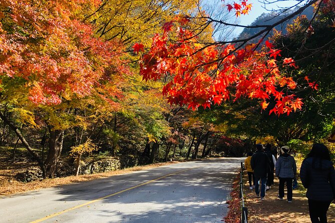 Mt. Naejang Autumn Foliage and Jeonju Hanok Village 1 Day Tour - Transportation Details