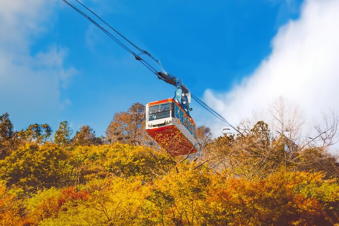 Mt. Naejang Sightseeing Trip From Seoul - Activities