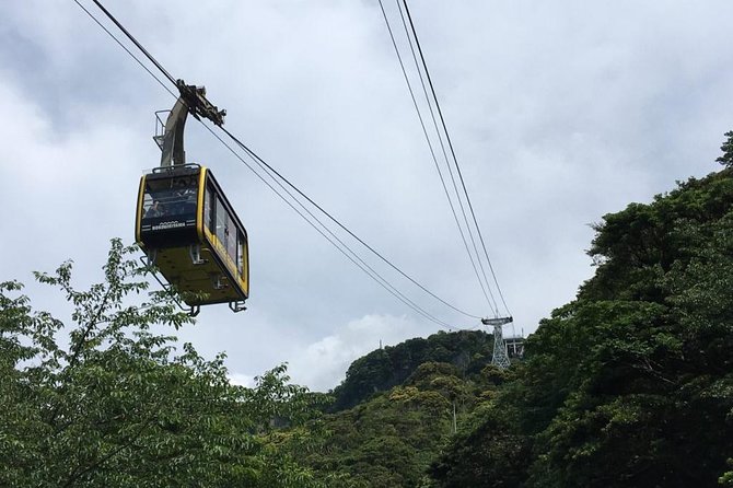 Mt. Nokogiri Hiking Tour - Meeting and Pickup Details