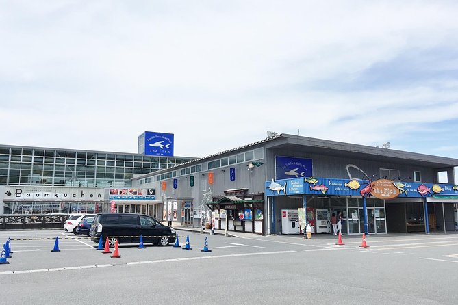 Mt. Nokogiri Hiking Tour - Cancellation Policy and Reviews