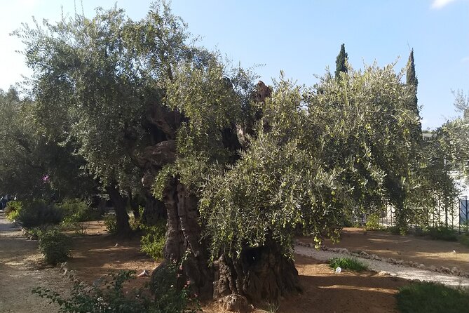 Mt of Olives From the Chapel of the Ascension to Gethsemane for Individuals - Frequently Asked Questions