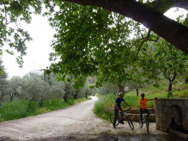 Mt. Parnassos: Mountain Bike in Altitude Forest - The Guides and Their Expertise