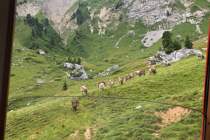 Mt. Pilatus and Cruise on Lake Lucerne Private Tour From Zurich - Pricing