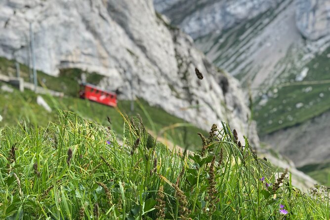 Mt. Pilatus and Cruise on Lake Lucerne Private Tour From Zurich - Directions