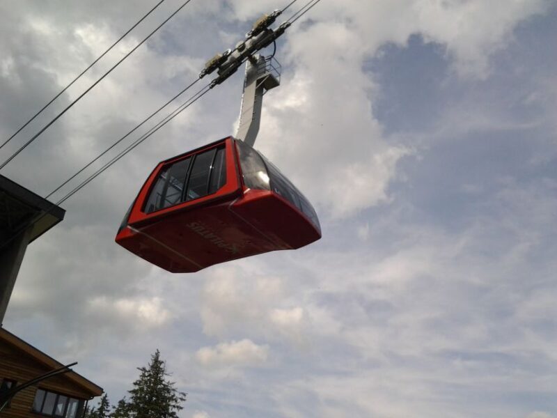 Mt. Pilatus Golden Roundtrip Private Day Trip from Basel - Lake Lucerne: A Scenic Boat Cruise