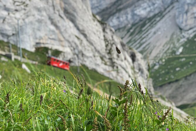 Mt. Pilatus With Lake of Lucerne Cruise Private Tour From Lucerne - Reviews