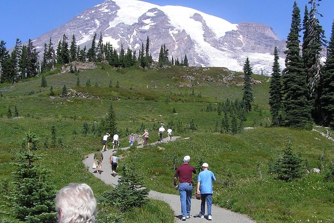 Mt. Rainier Day Tour From Seattle - Positive Reviews and Recommendations