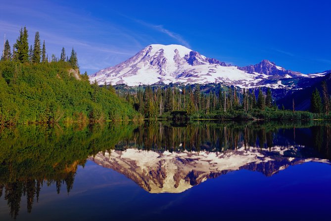 Mt. Rainier Day Tour From Seattle - Common Questions