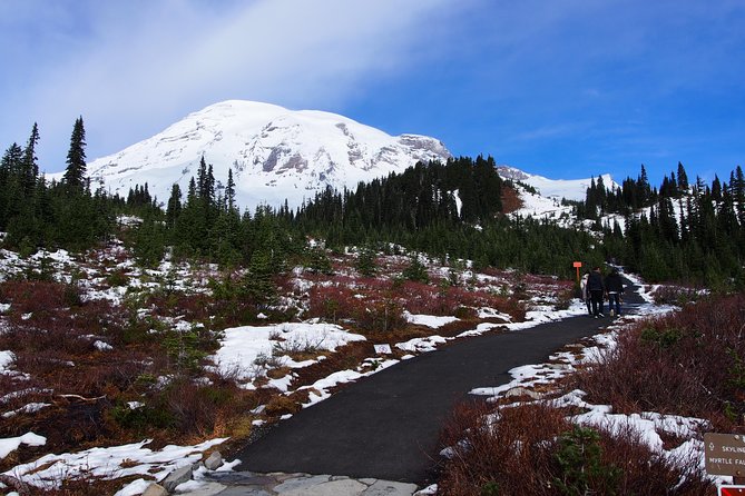 Mt. Rainier Day Tour From Seattle - The Sum Up