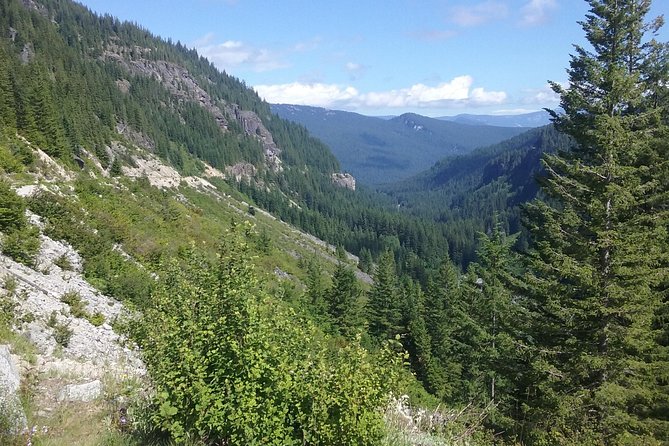 Mt Rainier Private Tour Experience in SUV - Reviews