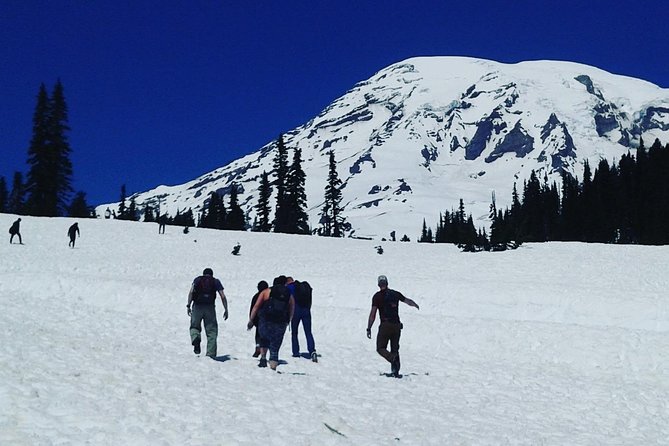 Mt Rainier Private Tour Experience in SUV - Questions/Assistance