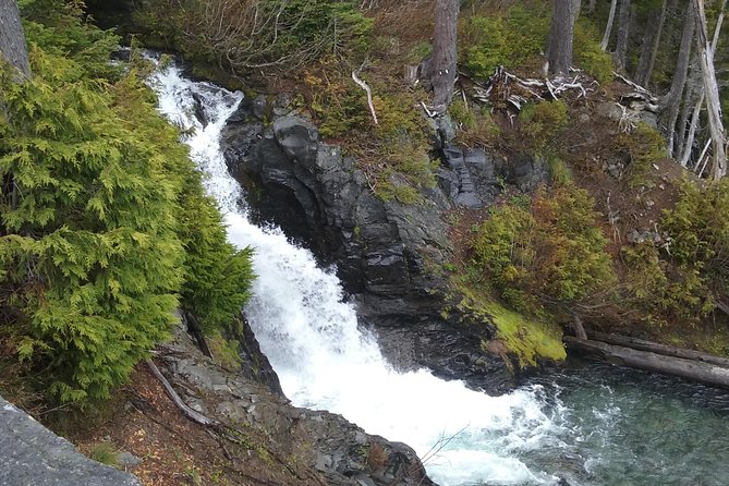 Mt Rainier Private Tour Experience in SUV - Tour Highlights