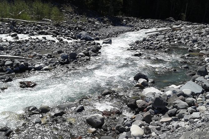 Mt Rainier Private Tour Experience in SUV - Tips for a Great Experience