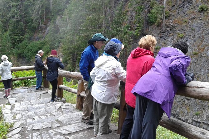 Mt Rainier Private Tour Experience in SUV - How to Book the Tour